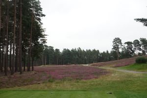 Swinley Forest 11th